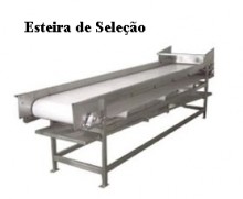ESTEIRA DE SELEO